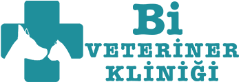 bivet